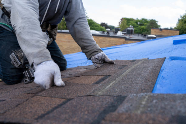 Best Flat Roof Repair Services  in Mount Zion, GA