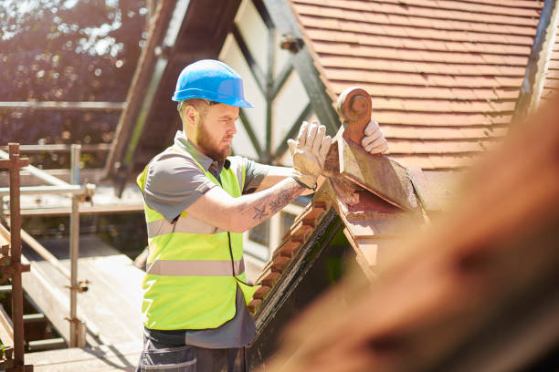 Best Residential Roof Replacement  in Mount Zion, GA